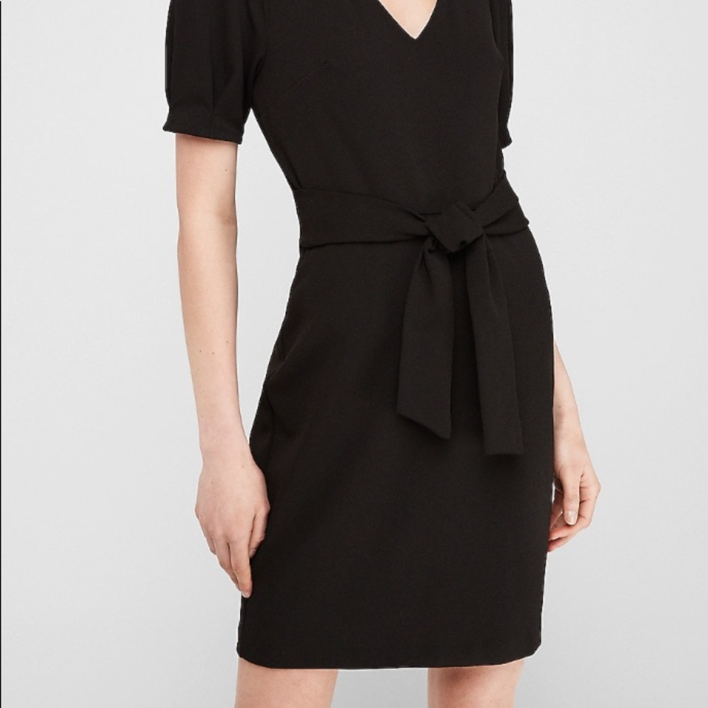 Express Puff Sleeve Tie Waist Sheath Dress